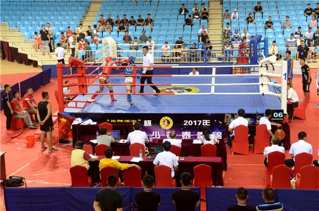  青年联赛启幕，新生代球员展风采